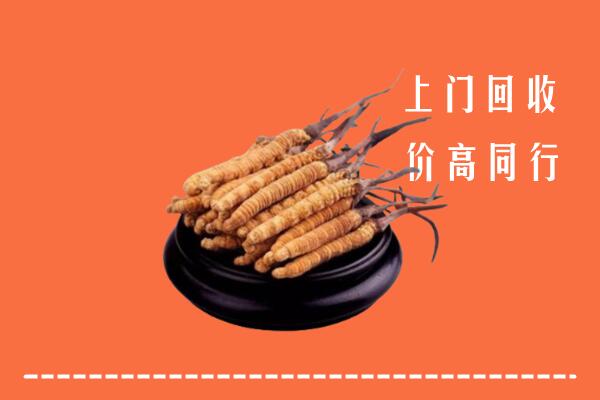 高价求购：吉安市井冈山回收散虫草