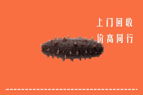 高价求购：吉安市井冈山回收海参